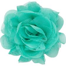 sm Rosette-aqua