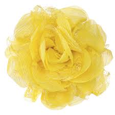 sm Rosette-yellow